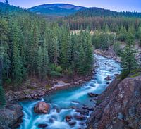 Astoria River. Jasper National Park, Canada.