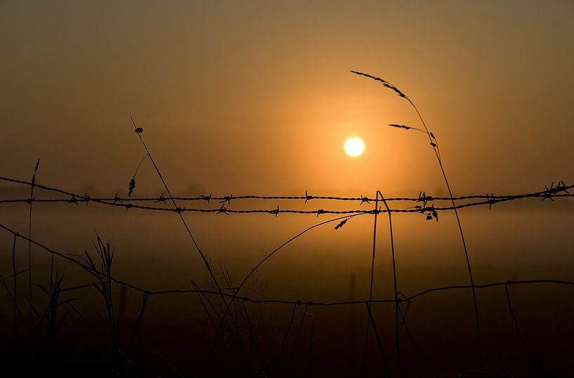 Stacheldraht mit aufgehender Sonne von Wim Schuurmans