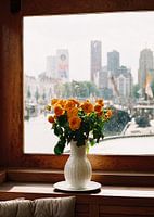 Quiet Life - La ligne d'horizon de Rotterdam depuis un bateau-maison