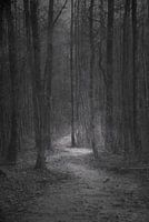 Straße nach Nirgendwo