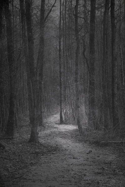 Straße nach Nirgendwo von Jenny de Groot