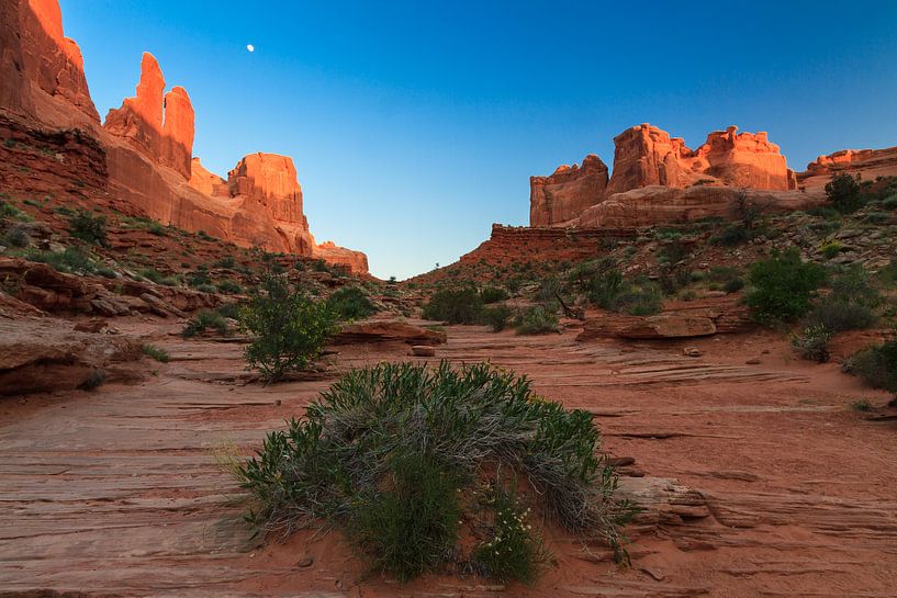  Arches Nationalpark von Marcel Tuit