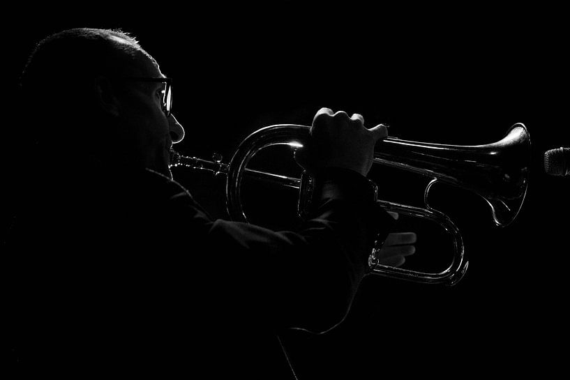 Muzikant  zwart wit silhouet von Marcel Kelfkens