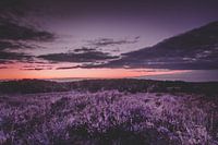 Zonsop komt op de Postbank