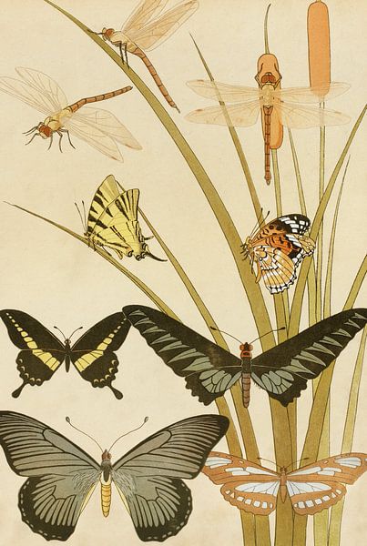 Schmetterlinge, Maurice Pillard Verneuil von Meisterhafte Meister