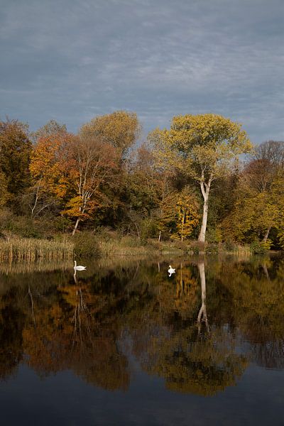Herbstliche Spiegelung von Daan Ruijter