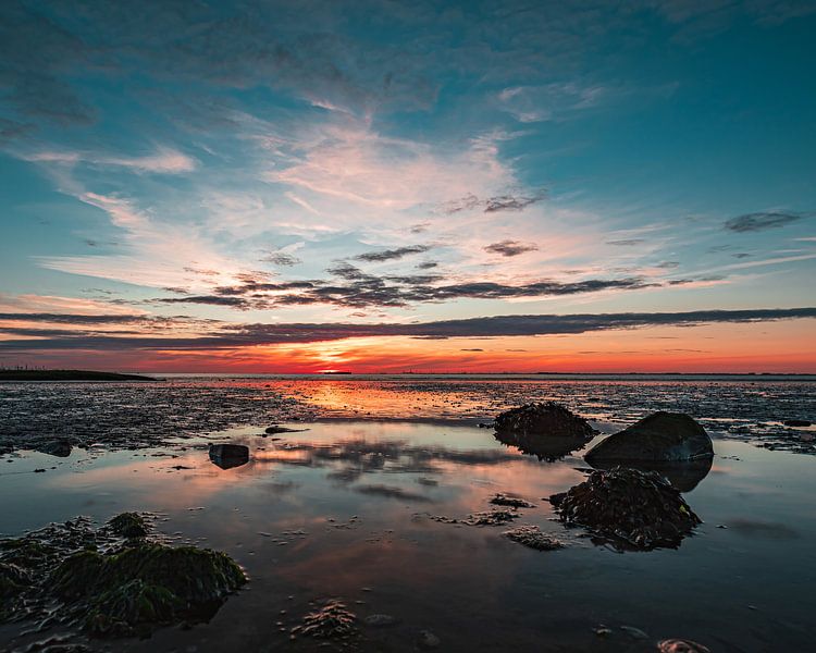 Orange blue by Wesley Kole