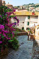 Allée fleurie française