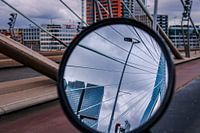 Looking back at The Swan