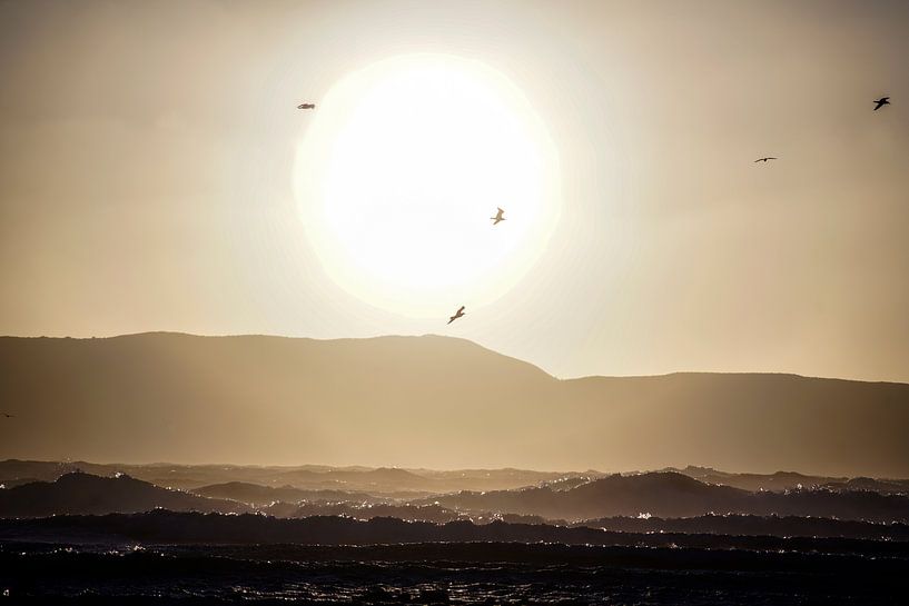 sonne vogel und wellen von Stefan Havadi-Nagy