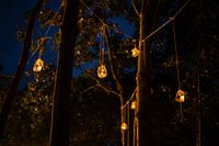 Elfenlichter im Wald