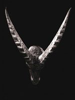 Capricorn auf schwarzem Hintergrund