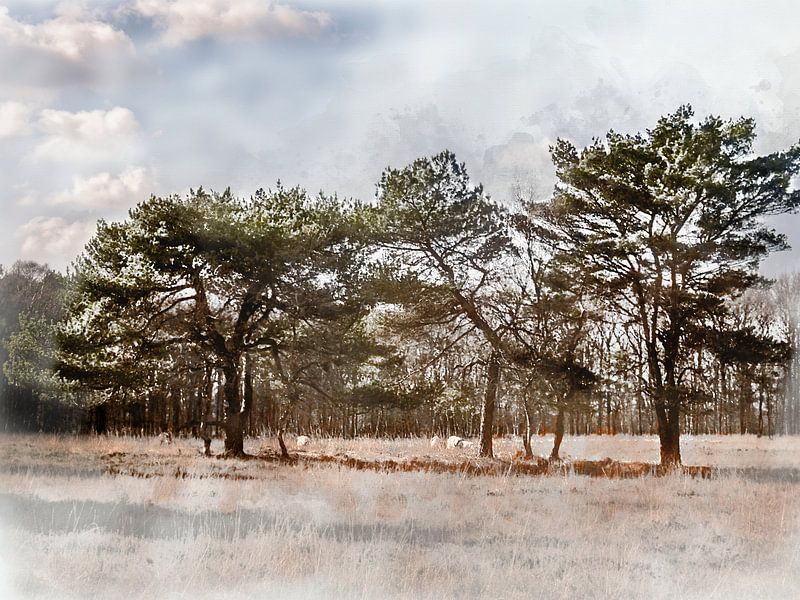 Wilde geiten op de heide par Harry Stok