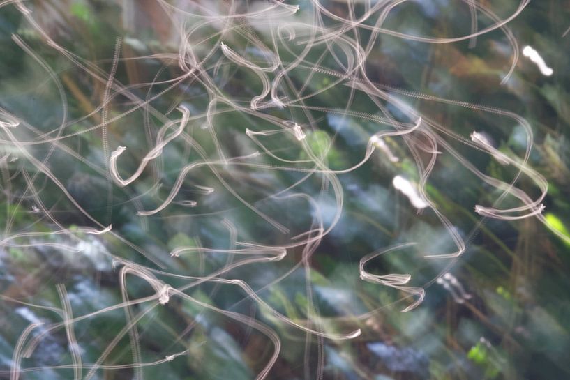 Lightart by flies by Fons Simons