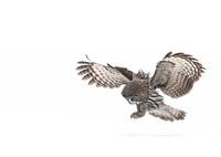 Kurz vor der Landung