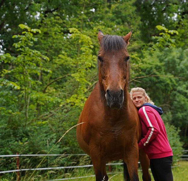 Trakehner Feldmeyer au pâturage avec sa propriétaire par Babetts Bildergalerie