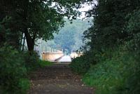 Rustgevend bospad naar brug