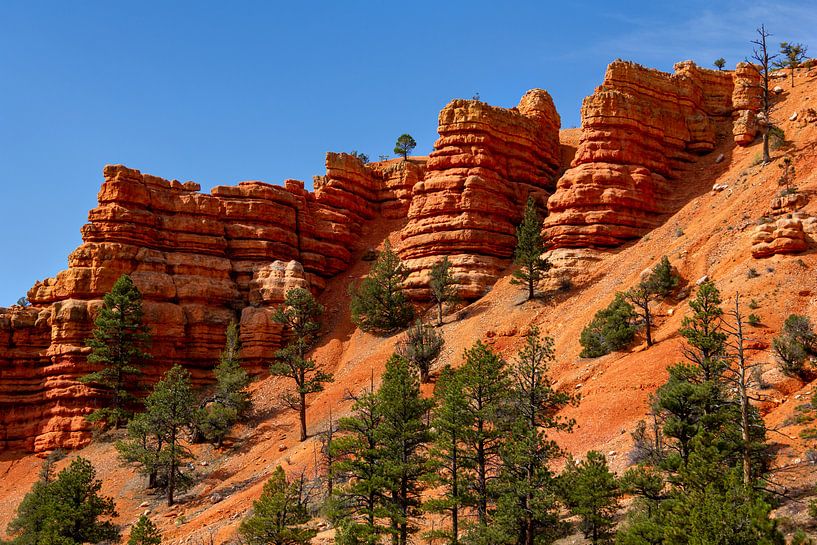 Red Canyon, Utah, États-Unis par Adelheid Smitt