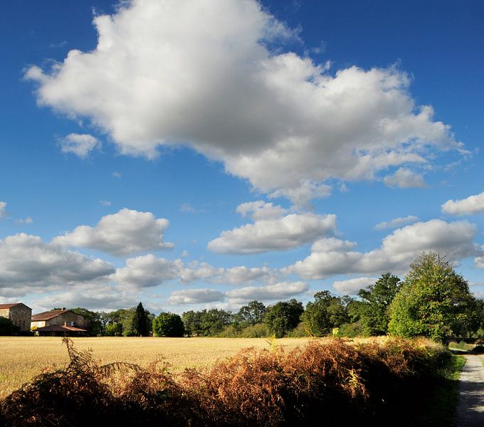 Good weather by Corinne Welp