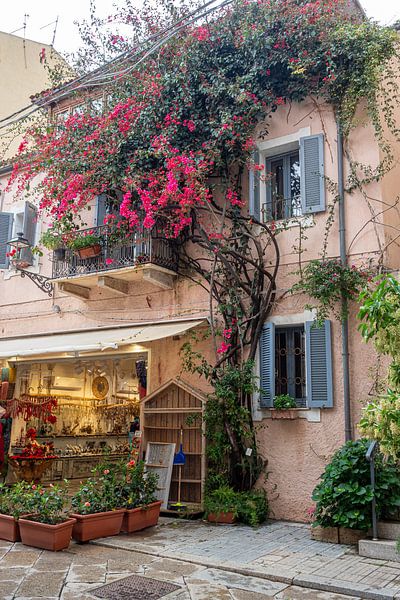 Bourgainville.... by Maja Mars