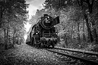 Autumn Train in Black and White