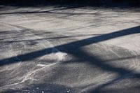 Ombres sur la glace