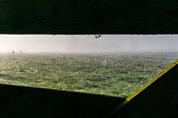 A spider's web on a foggy november morning