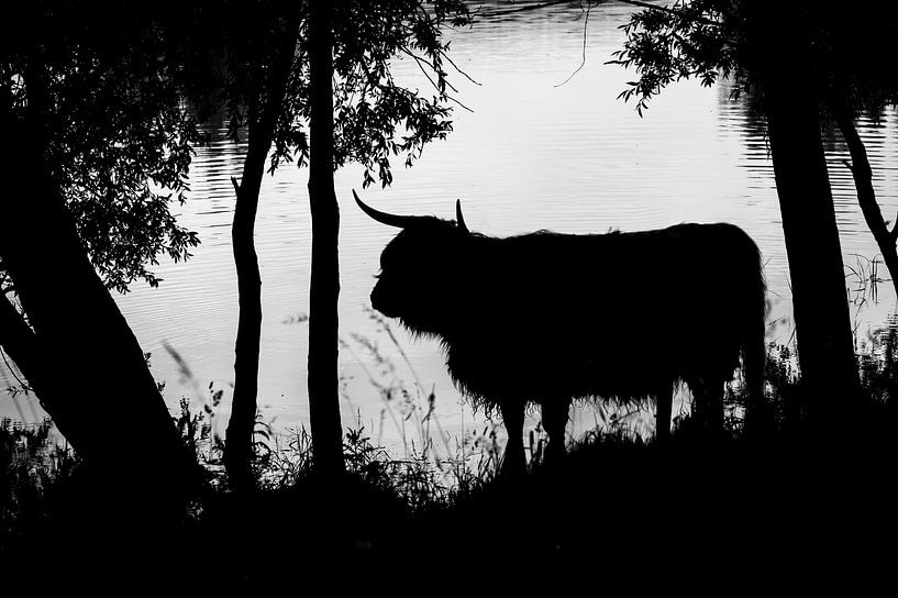 Pootje Baden von Rene Jacobs