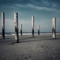 Grijsblauw tinten strand Petten