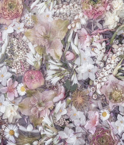 Kirschblüte&amp;Hagebutten von Marina de Wit