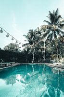 Piscine avec palmiers et lumières