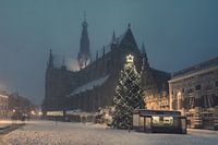 Haarlem: Weihnachtsstimmung auf dem Grote Markt.