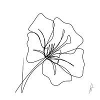 Eine Strichzeichnung Hibiskus