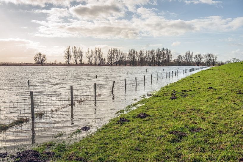 Hochwasser am Fuß eines niederländischen Deiches von Ruud Morijn