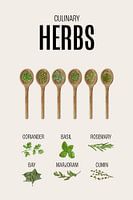 Kräuter Küche Poster