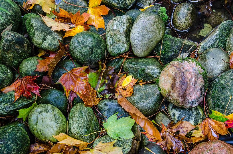 Autumn stones by Tanja de Boer