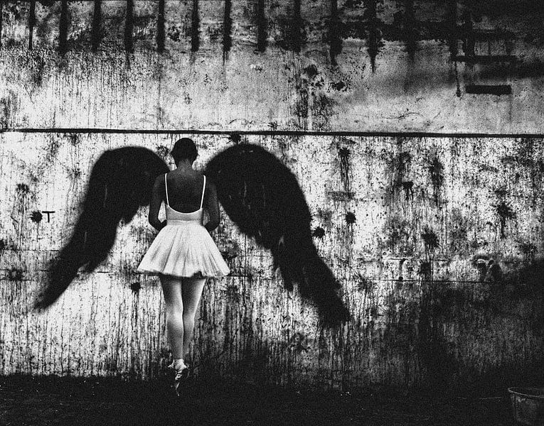 n/t von Paulo Medeiros