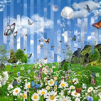 Blumen feld im Frühjahr, Schmetterlinge und Zebras