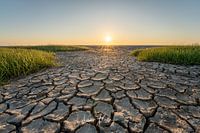 Die friesische Wattenküste