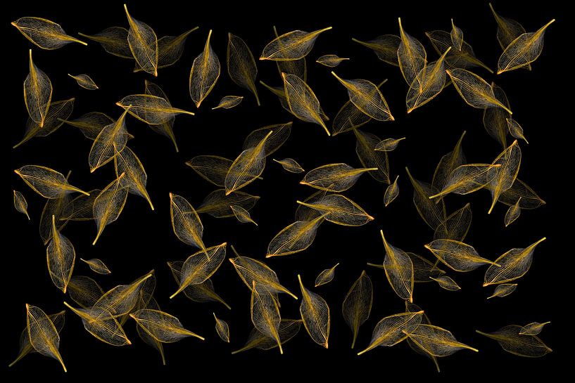 leaves give light III by Klaartje Majoor