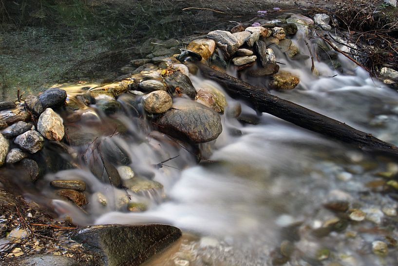 Coffre humide 2 par Cornelis (Cees) Cornelissen