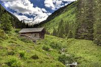 Up there on that mountain!