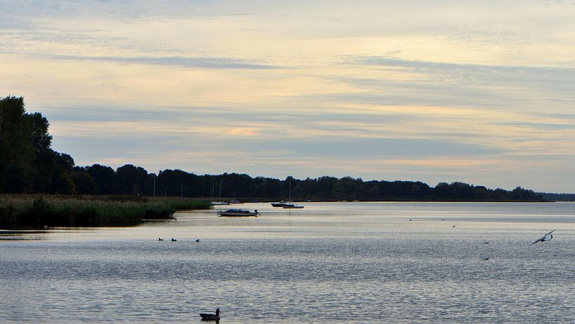 Vue sur la rive de Wolderwijd par Gerard de Zwaan