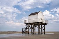 Drowning house Vlieland
