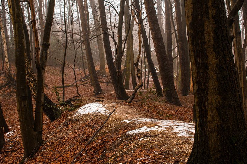 Fabelachtig herfstbos von Loes Huijnen