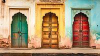 Colourful doors in India