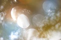 Reflektionen im Wasser