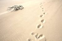 Schritt für Schritt und entschlossen