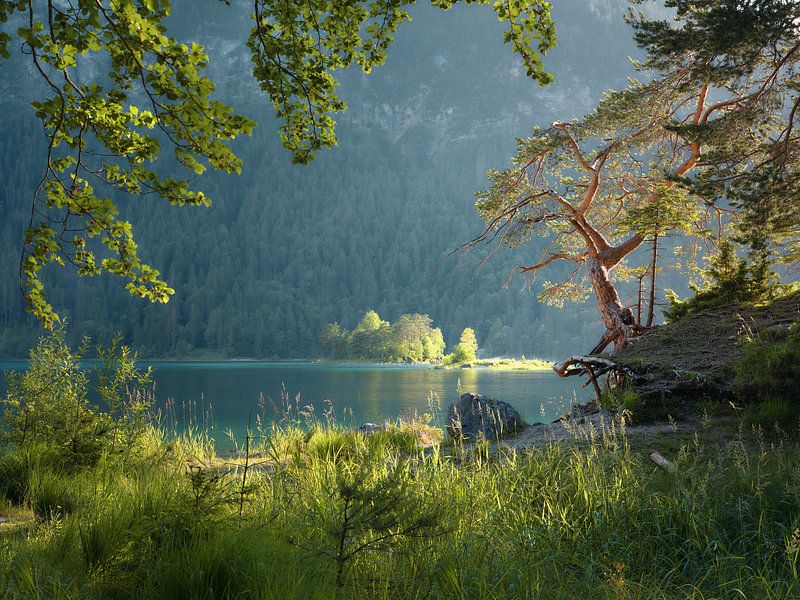 Soirée d'été à l'Eibsee par Max Schiefele