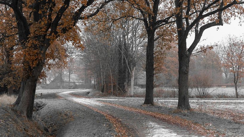 Winter in einem authentischen ländlichen niederländischen Dorf von Lynxs Photography